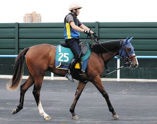 迫る新種牡馬産駒の2歳馬デビュー サトノダイヤモンドらに加えて実績