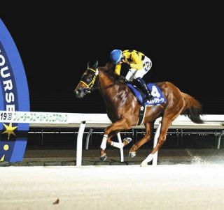 パンサラッサのサウジカップ制覇…次走のドバイで日本馬の獲得賞金1位