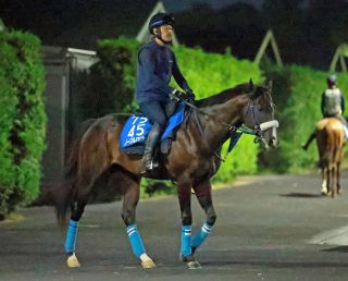 【神無月S・傾向と対策】前走で非重賞オープンを使っている組が最大勢力　上位人気の安定度はそこそこで4番人気が複勝率トップ