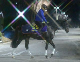 2000年のダービー馬アグネスフライトが老衰で死ぬ 26歳 ：中日スポーツ