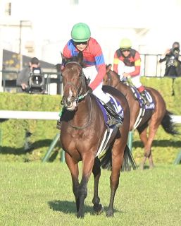 JRA重賞で300万円馬券連発！「函館記念」は15番人気が勝ち「中京記念