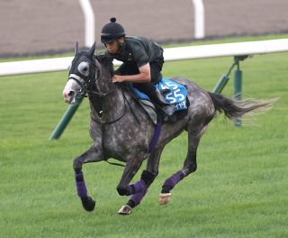西村淳也、初のG1勝利へ騎乗4戦負け知らずのエルトンバローズとタッグ