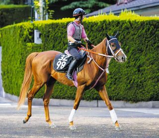 小泉恵未コラム】楽しみな一戦ジャパンC、頑張れクロワデュノール 大物