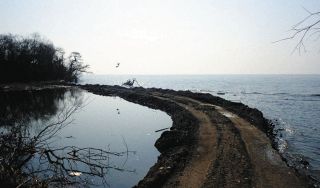 「琵琶湖岸に道路ができている」無許可で勝手に盛り土　滋賀県が告発