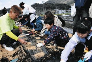 農業でスキマボランティア　大野・よっちゃん農園が随時募集