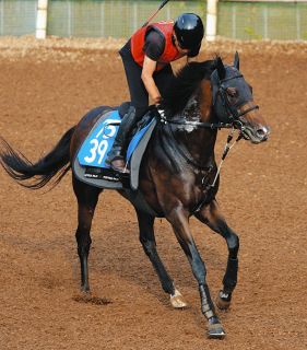 もはや『純白の怪物』驚異レコードで勝ったソダシを吉田隼絶賛「話題