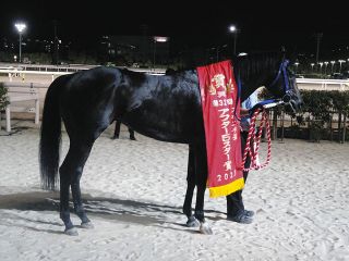 坂井瑠星が自身初のJRA年間100勝達成 「昨年98勝…無事に達成でき