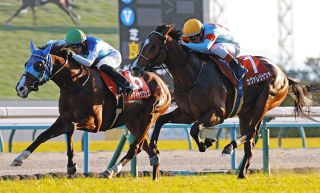 2002年皐月賞馬、ノーリーズン死す 25歳 通算12戦3勝：中日スポーツ