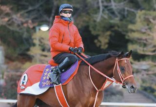 宝塚記念制したイクイノックス騎乗のルメール見て思い出す97年の