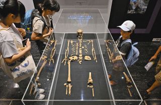 【写真特集】DNA分析でたどる日本人の歩んだ道　名古屋市科学館で特別展、9月23日まで