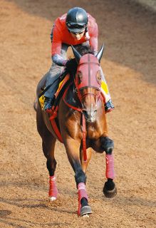 角田大河騎手が死去、競馬一家に生まれ、JRA史上3人目のデビュー