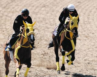 ルーキー長浜鴻緒がデビュー4戦目でJRA初勝利 今年デビューの8 ルーキー長浜鴻緒がデビュー4戦目でJRA初勝利 今年デビューの8