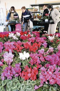 生徒が育てた農産物が好評　岐阜農林高で「冬の即売会」