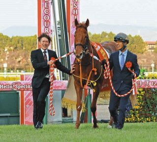 京都新聞杯】トッピボーン大舞台へ2着以上が必須条件、太田助手「京都