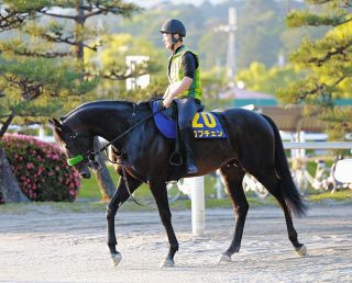 日本を世界を沸かせた大逃げ』パンサラッサ、23日、中山レース終了後に