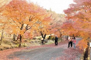 秋一面、中津川市の「馬籠公園」で紅葉見ごろに　夜間はライトアップも