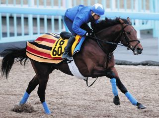 ホウオウビスケッツに3週続けて追った岩田康「前めの構えも考えるかな。マイルには対応できる」【東京新聞杯】