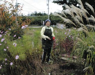 初代諏訪蘇山の螺鈿漆器を発見 金沢出身 青磁名工 漆芸も巧み：北陸中