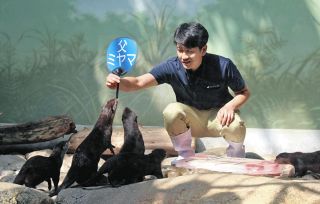イクメンカワウソ「ミヤマ」子育てお疲れ様　アクア・トトで「父の日」記念