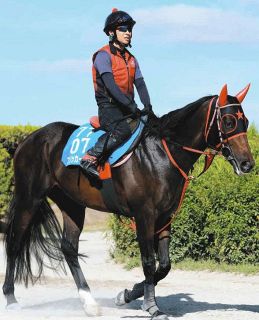 【セントウルS】重賞連続Vでサマースプリントチャンピオンへ、軌道に乗った快速馬フリッカージャブ西園師「レースに向けて力を出せる状態」
