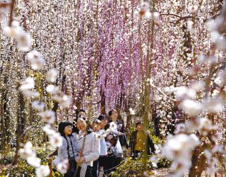 鈴木貞夫画　「西倉の辺境」（平成6年12月15日） 子どもの絵大好きだった 油彩画家・本紙学童作品選者 故鈴木貞夫さん