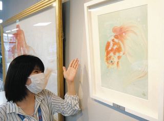 金魚「夢桜」弥富に華やぎ　市制20周年記念・深堀さん作品、みなともまちなか交流館で展示