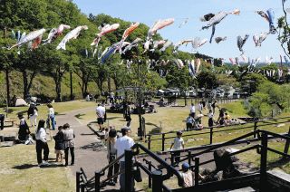 化石のまちに140匹のこいのぼり泳ぐ　瑞浪市民公園