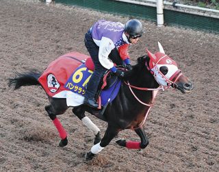 第68回有馬記念」16日からファン投票実施、中央競馬所属の3歳以上の馬