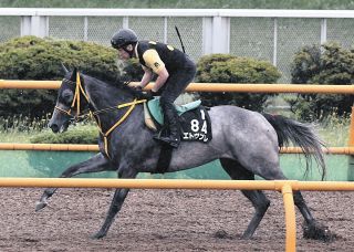 エースインパクト、ド派手な圧勝劇繰り返す『無敗の新星』 主戦