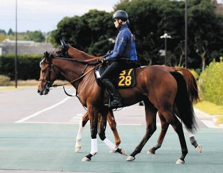 アネモネS・傾向と対策】3度の馬連万馬券＆4度の3連単10万超…波乱傾向
