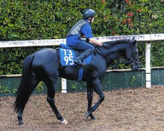 追悼　角田大河騎手 デビュー戦 二戦目 現地的中単勝馬券 メイショウソウゲツ他 角田大河騎手が死去 - サンスポZBAT!
