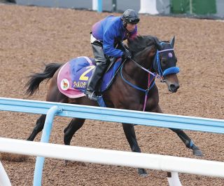 武豊インタビュー「やっぱりサイレンススズカの金鯱賞は衝撃的だった」中京競馬場を語る【競馬の話をしよう。】：中日スポーツ・東京中日スポーツ