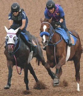 1996年皐月賞馬、イシノサンデー死す 31歳、通算22戦6勝 父は