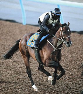 有馬記念】⑩カレンブーケドールは「予定通り、順調に仕上がった