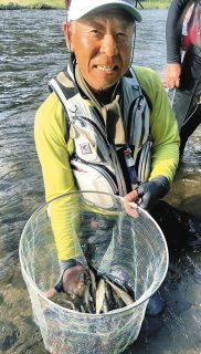 目印吹っ飛ばす天然アユ　愛知県豊田市足助・巴川