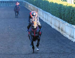 秋華賞】特別登録馬を発表、22頭が登録 桜花賞馬エンブロイダリー