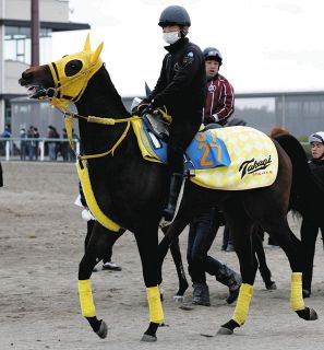 【ダービー卿CT】近況凡走は馬場の悪さが影響のエンペラーズソード　週末の雨予報に高木師は困惑