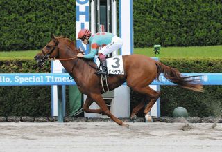 ママ、頑張ったよ…宮下瞳が女性騎手初の1000勝達成セレモニー 愛息らを
