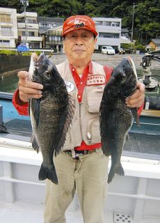 年なし５００匹達成！！　三重・尾鷲天満浦小割