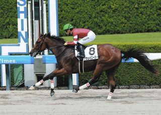 昭和52年 宝塚記念 トウショウボーイ 武邦彦 昭和52年 宝塚記念 トウショウボーイ 武邦彦 昭和52年 宝塚記念