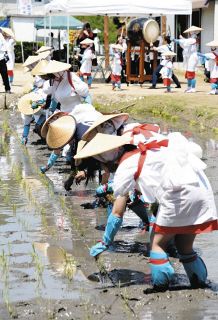 飛鳥からつながる早乙女の列　恵那の斎田で「次米お田植え祭」