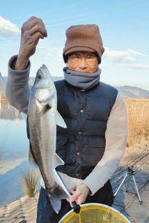 ＜ぐるっと北勢～駿遠＞　昼マダカ遭遇３条件　立田