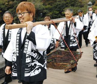 飛び跳ねるぐらいの豊漁願い、伊勢神宮に伊勢エビ100匹奉納　漁解禁に合わせ