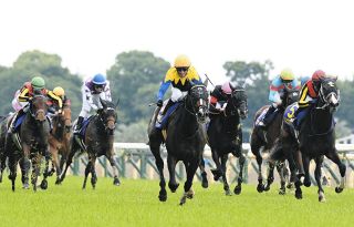 有馬記念企画】ルメール＆ハーツクライ、人馬ともに殻を破った05