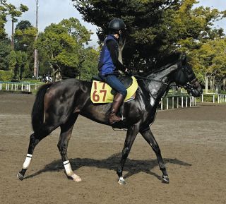 【アルテミスS・傾向と対策】突出した安定度の2番人気が複勝率9割ながら、3連単1000倍超2回で伏兵警戒　逃げは勝ち星なく4角好位が絶好