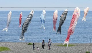 鯉のぼり250匹、潮風に揺られ晴天を泳ぐ　三重・熊野の七里御浜