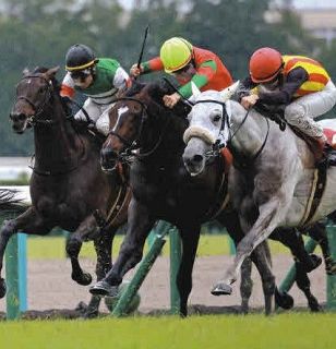 ヴィクトリアマイル】ソングラインがG1・2勝目 ソダシを内から差し切る
