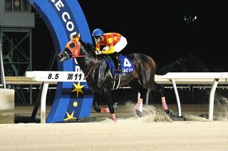 ◆ 競馬 JRA ◆ ダノンデサイル ◆ 日本ダービー ◆ 2種類セット ◆ 日本ダービー】ダノンデサイルは3枠5番 安田師「とにかく無事に