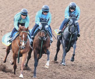 1997年の菊花賞優勝馬・マチカネフクキタル死す 26歳「最後は放