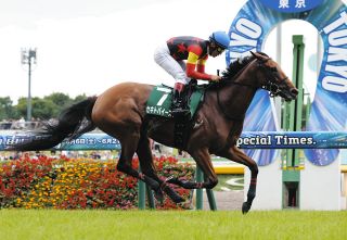 ジャングルポケット死す 日本ダービー、ジャパンカップ制覇で2005年度